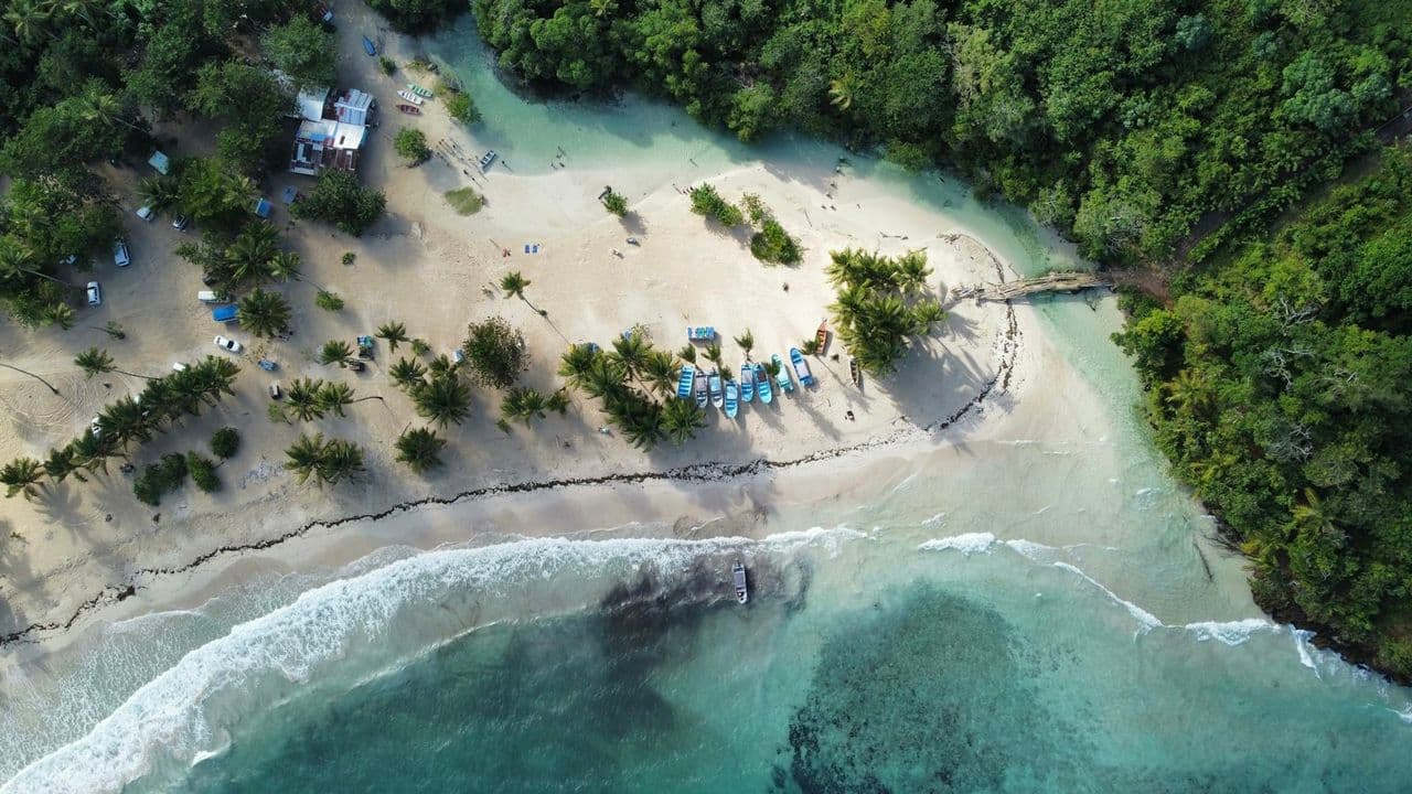 Playa con árboles y botes